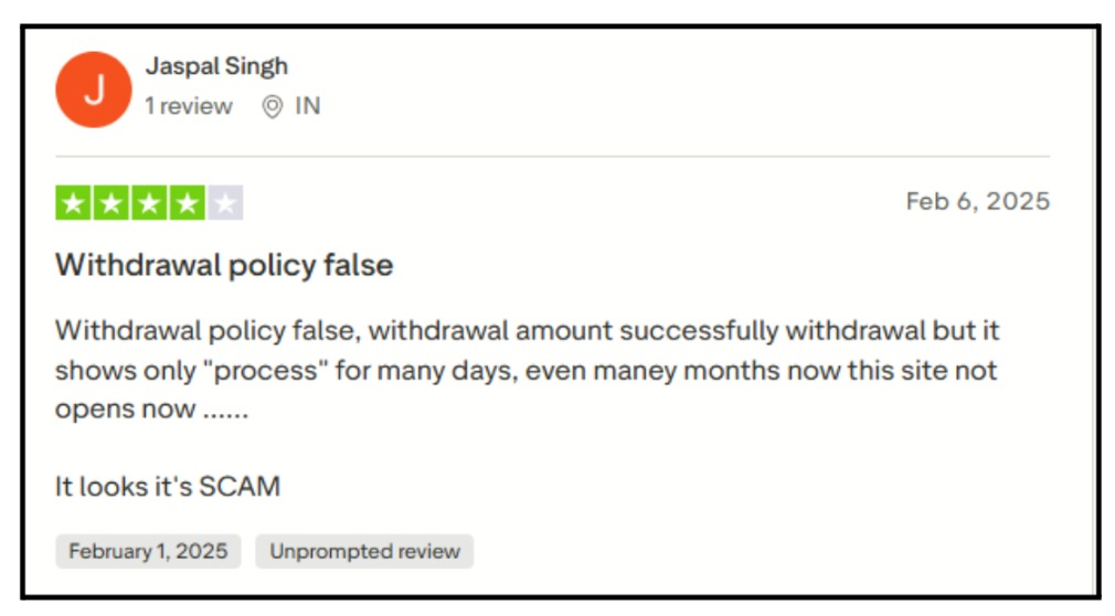 PaisaPerReels review