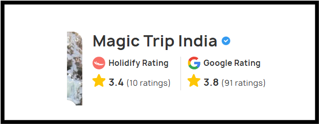 Magic Trip India User review
