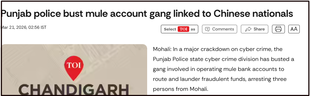 Mule Account Network