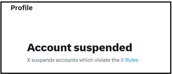 Traders Circuit Review