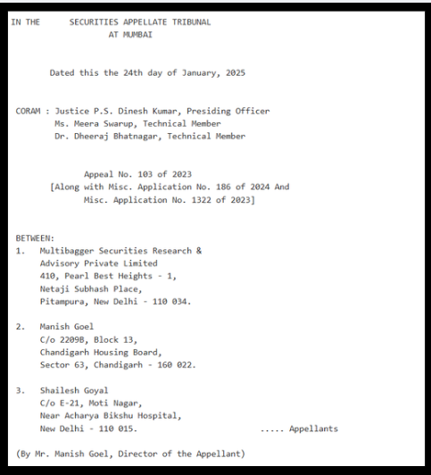 Multibagger portfolio management