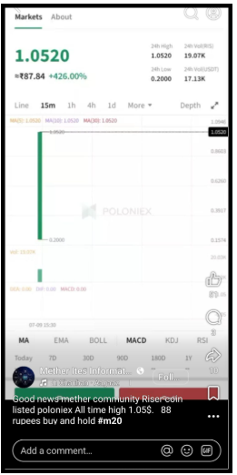 The Riser Coin Price Story