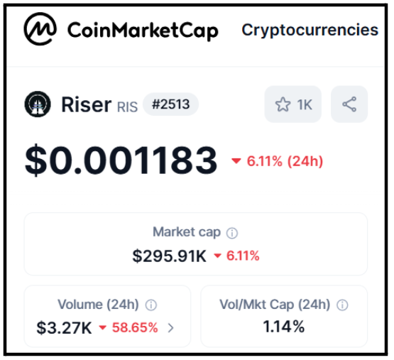 Riser Coin Real
