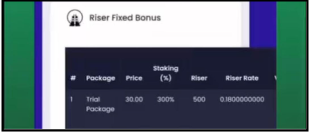 Riser Coin bonus