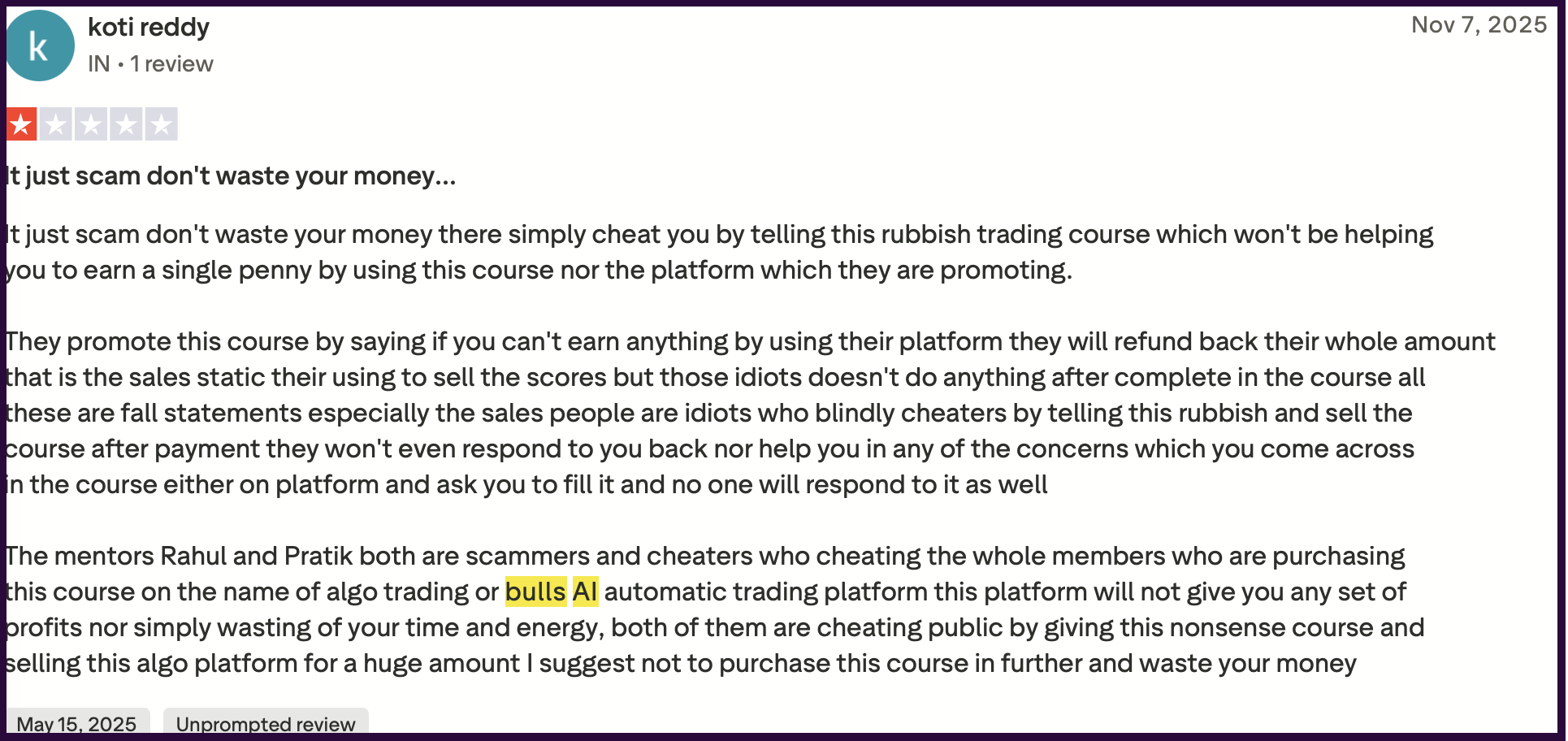 bulls ai review