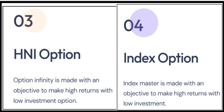 Screenshot of Option Infinity plan marketing promising high returns with low investment.