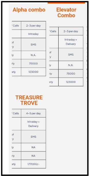delight financial services pricing