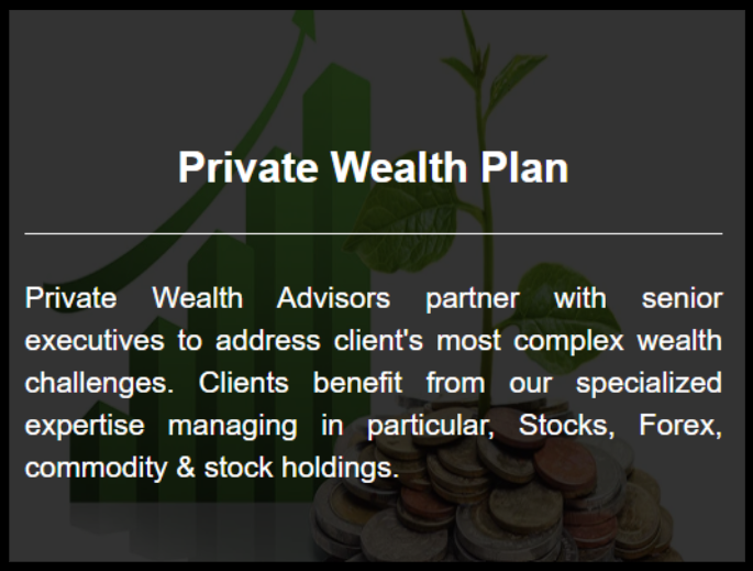 moneyplant research private wealth plan description