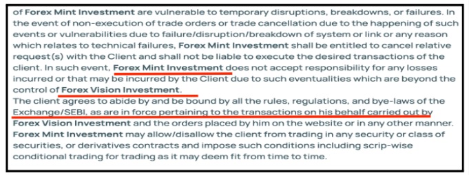Web page screenshot snippet displaying Terms and Conditions text that interchangeably refers to Forex Mint Investment and Forex Vision Investment.
