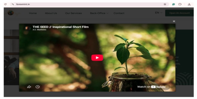 Web page screenshot snippet showing a Play Video link directing to an inspirational short film video on YouTube instead of financial content.