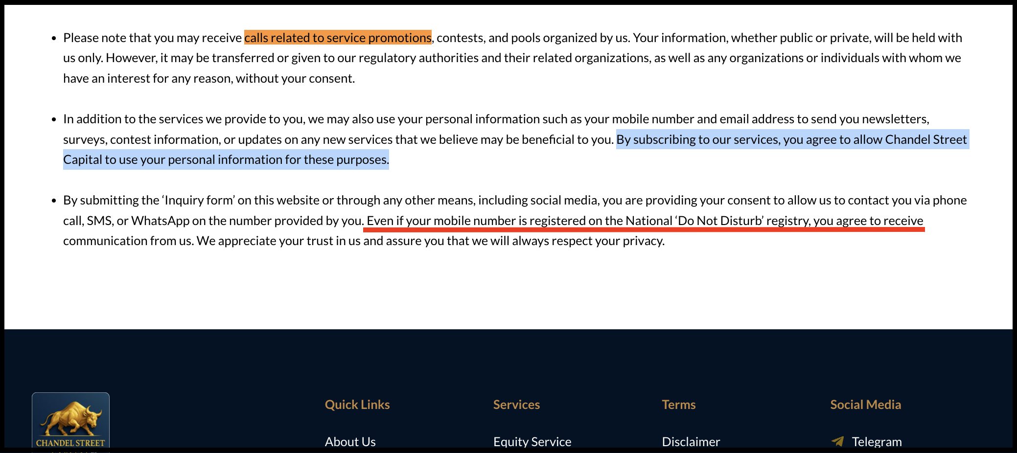 Privacy policy terms on Chandel Street Capital website