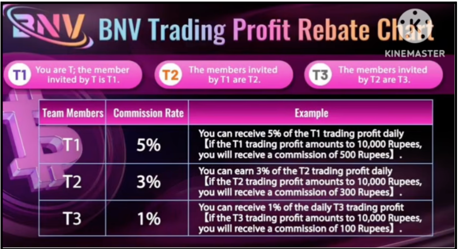 BNV Exchange trading profit rebate and commission rate table