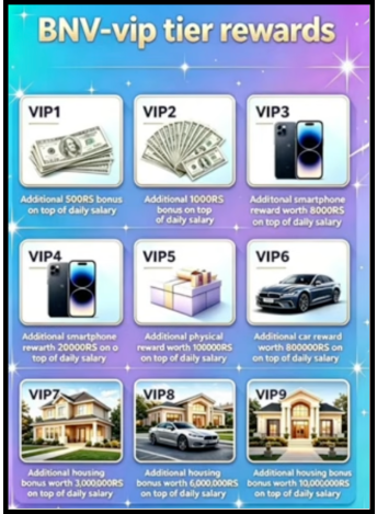 BNV Exchange VIP tier rewards and daily salary structure from VIP1 to VIP6